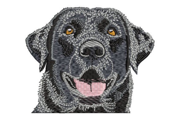 Black Labrador Retriever Design Review