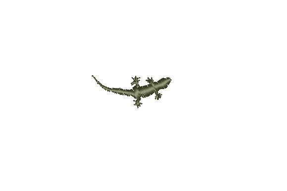 Gecko Miniature Review for Boutique Apparel